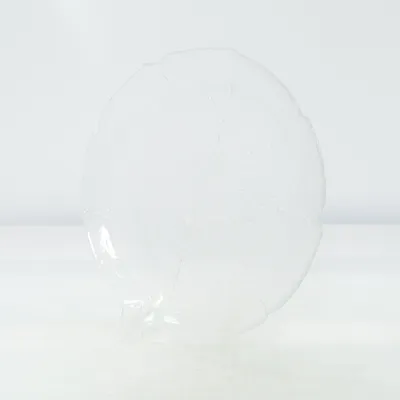 Plate (Transparent)