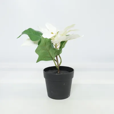 Kunstig plante (Hvid, Grøn) fra Biltema