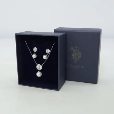 Jewelry set (Silver) from U.S. Polo Assn. Unknown metal