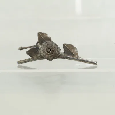Broche (Zilver) Onbekend materiaal