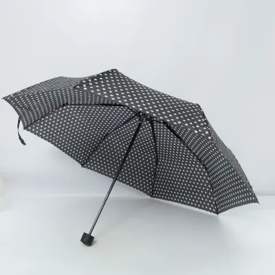 Parapluie (Noir, Blanc)