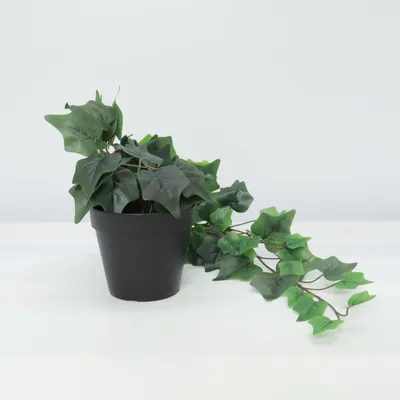 Artificial plant (Green) from IKEA
