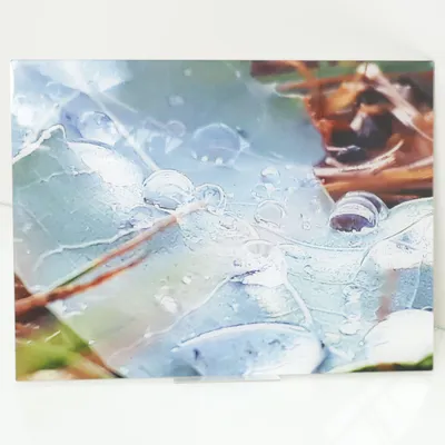 Väggdekoration (Blå, Grön, Brun)