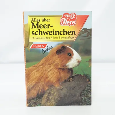 Fact book from Falken