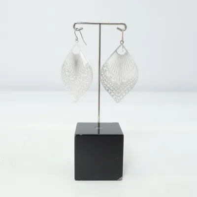 Boucles d'oreilles (Argent) Métal inconnu