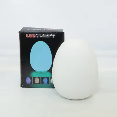 Veilleuse (Color Changing Egg) de Playlearn