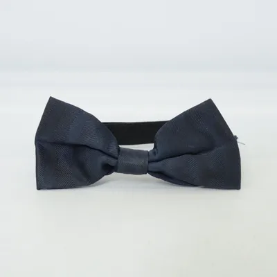 Noeud papillon (Bleu)