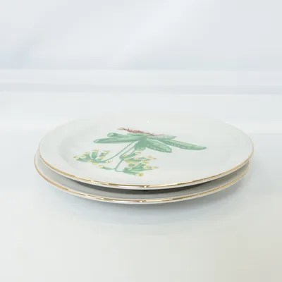 Assiette (Blanc, Multicolore) de Primula