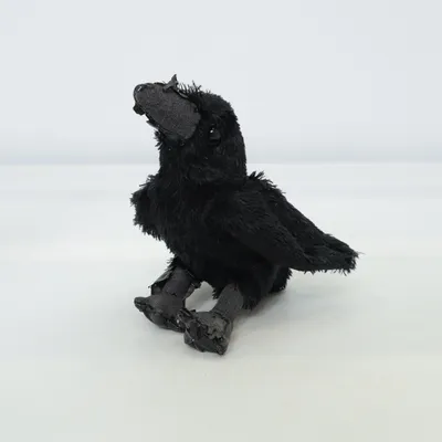 Hundelegetøj (Raven) fra Folkmanis