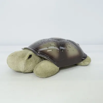Natlampe (Twilight Turtle) fra Cloud B