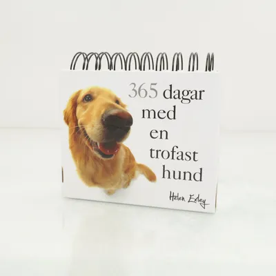 Kalender (Flerfärgad) från Tukan Förlag