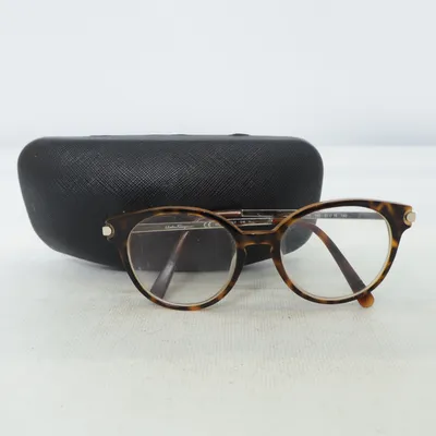 Glasses (Brown) from Salvatore Ferragamo