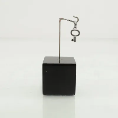 Charm (Silver) from Fossil