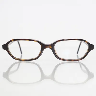 Glasses (Brown) from Emporio Armani