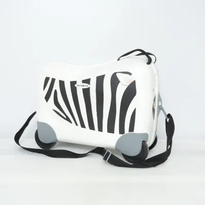 Handbagage koffer (Dream Rider) van Samsonite