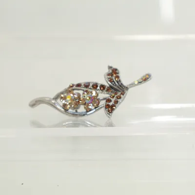 Broche (Zilver, Meerkleurig) Onbekend materiaal