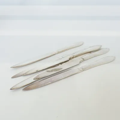 Kniv (Fruktkniv ) från Prima Ns Alpacca Nysilver