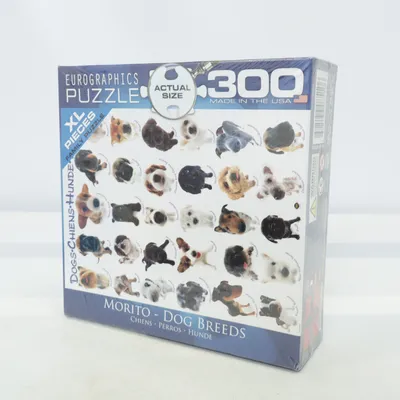 Puzzle from Eurographics