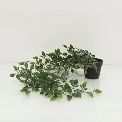 Artificial plant (Green, Black) from IKEA