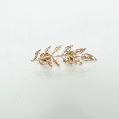 Broche (Goud) Onbekend materiaal