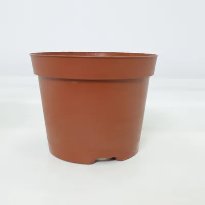Pot (Marron)