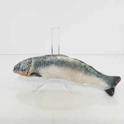Cat toy (Green, Multicolored)