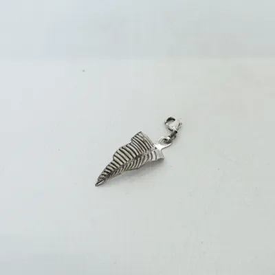 Charme (Argent) de Pilgrim Métal inconnu