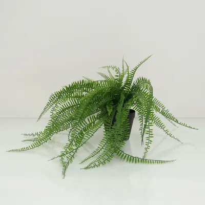 Artificial plant (Green, Black) from IKEA