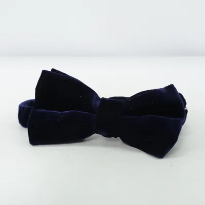 Noeud papillon (Bleu) de Charles Tyrwhitt Coton