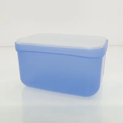 Lunch box (Blue) from Tupperware
