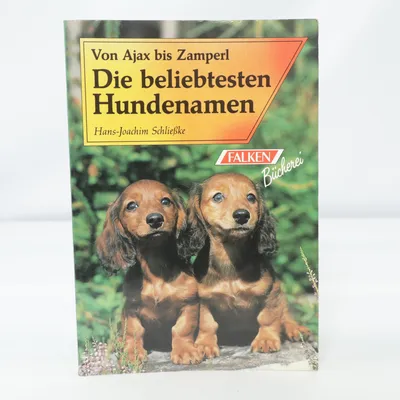 Book from Falken