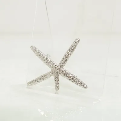 Broche (Zilver) Onbekend materiaal
