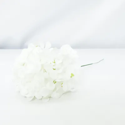 Artificial plant (White)