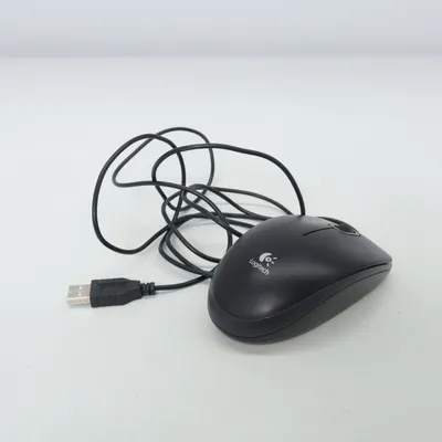 Computer mouse (B100) from Logitech