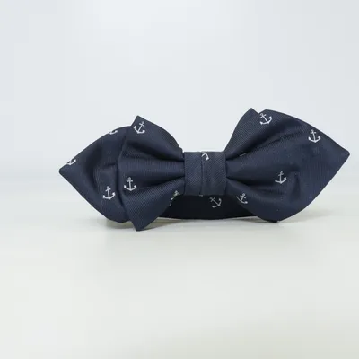 Noeud papillon (Bleu) de Hampton Republic Polyester