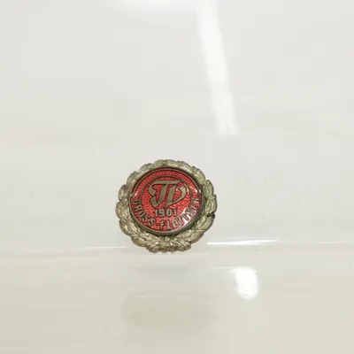 Broche (Rood) Onbekend materiaal