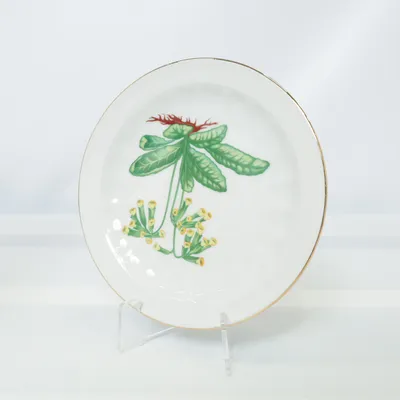Bord (Wit, Meerkleurig) van Primula