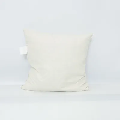 Coussin de remplissage (K 50 Sofakissen) Coton, Plume