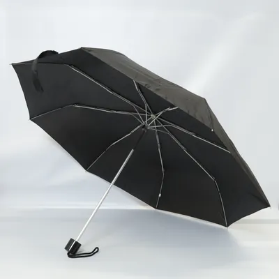 Umbrella (Black)