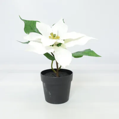 Artificial plant (White, Green, Black) from Biltema