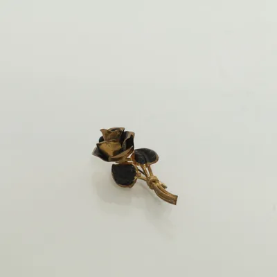 Brosch (Svart, Guldfärgad) Okänd metall