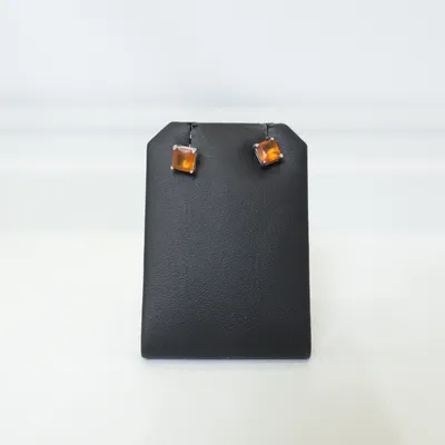 Oorbellen (Zilver, Oranje) Onbekend materiaal