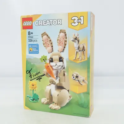 Construction set (31162) from LEGO Creator