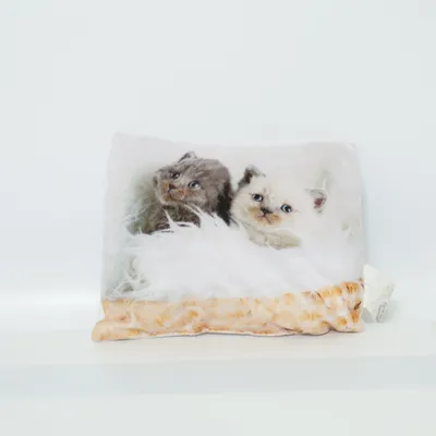 Prydnadskudde (Flerfärgad) från Bella Casa Polyester