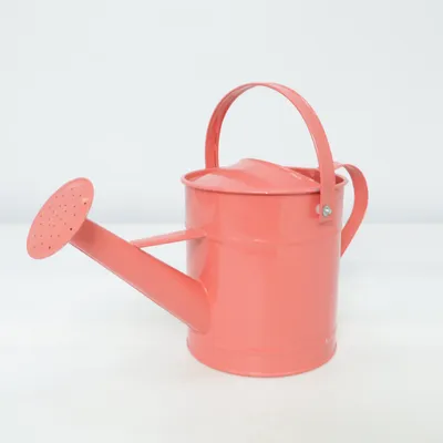 Gieter (Rood)