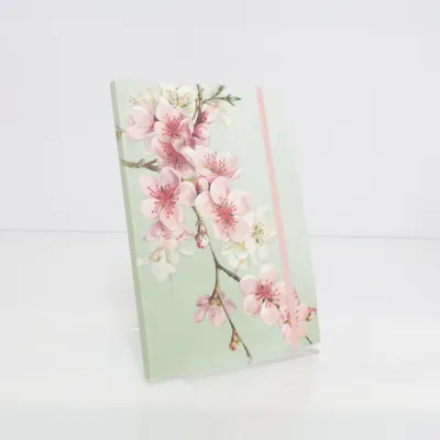 Notitieboek van Sköna Ting
