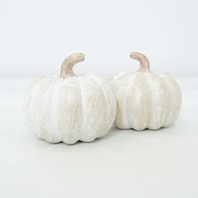 Décoration intérieure (Beige, Blanc)