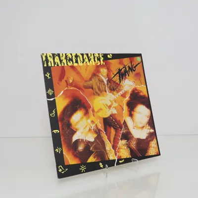Vinylplade