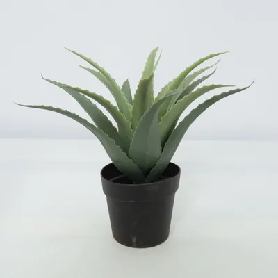 Artificial plant (Green, Brown) from IKEA