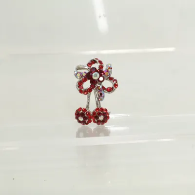 Broche (Rood, Zilver, Meerkleurig) Onbekend materiaal